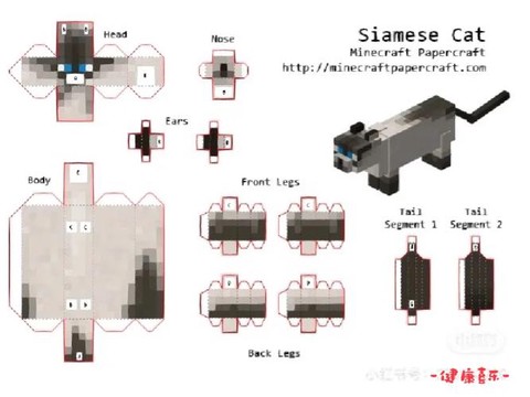 我的世界如何驯服猫