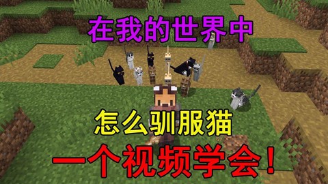 我的世界如何驯服猫[图1]