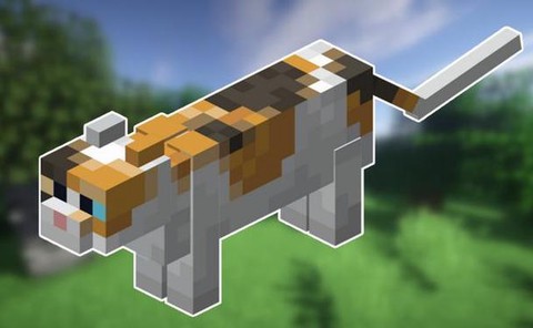 我的世界如何驯服猫[图2]