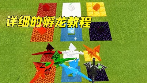 我的世界怎么弄龙蛋[图2]